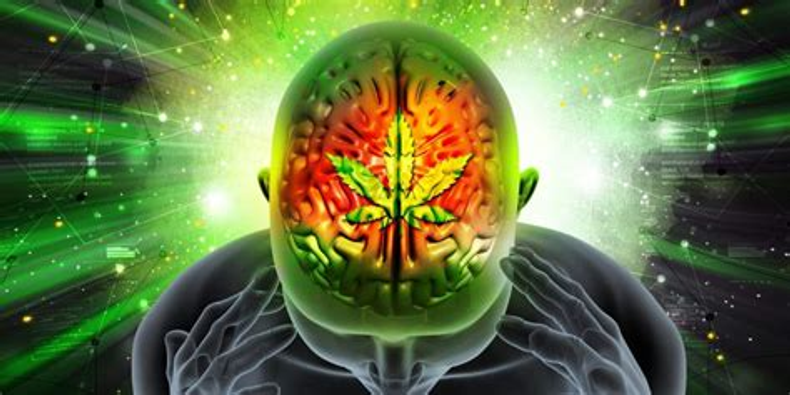 Cannabidiol Significantly Improves Blood Flow to Brain’s Hippocampus