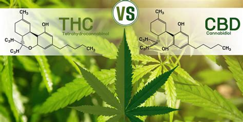 Is there a difference between CBD and THC?