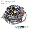 Vialle LSi ecu controller wiring loom liquid lpg autogas sequential injection