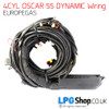 4CYL ECU: EUROPEGAS OSCAR 55 Dynamic