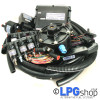 Prins VSI 6 Cylinder ECU ECM Autogas LPG Set Kit Full