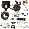 ac stag gofast 4 cylinders ecu lpg controller with r02 reducer and w01 injectors autogas lpg conversion kit