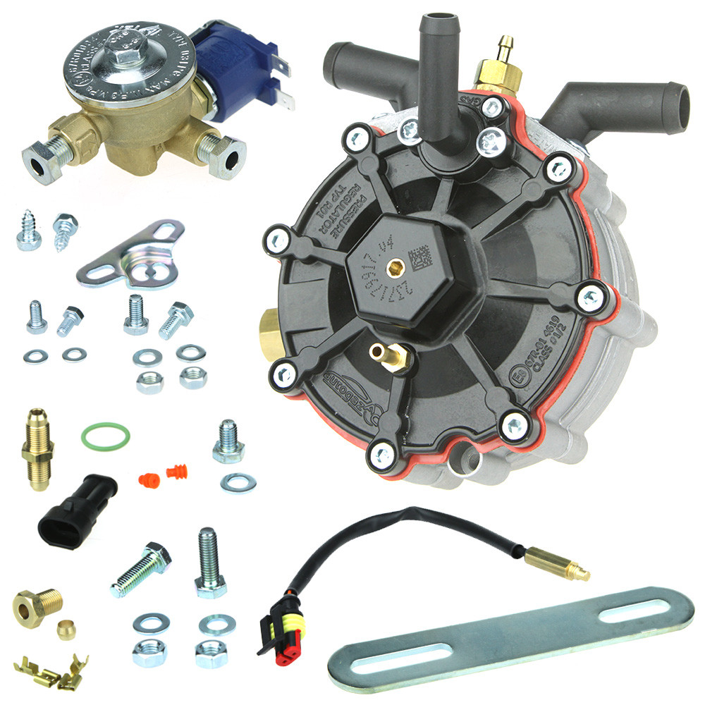 Kit De Reparación De Diafragma De Reductor LPG BRC FOX 2084 Kit De Reparación De Diafragma De Reductor LPG BRC FOX 2084