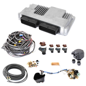 4 Cylinder Liquid LPG Sequential Injection Vialle conversion system for standard tank 4 Cylinder Liquid LPG Sequential Injection Vialle conversion system for standard tank