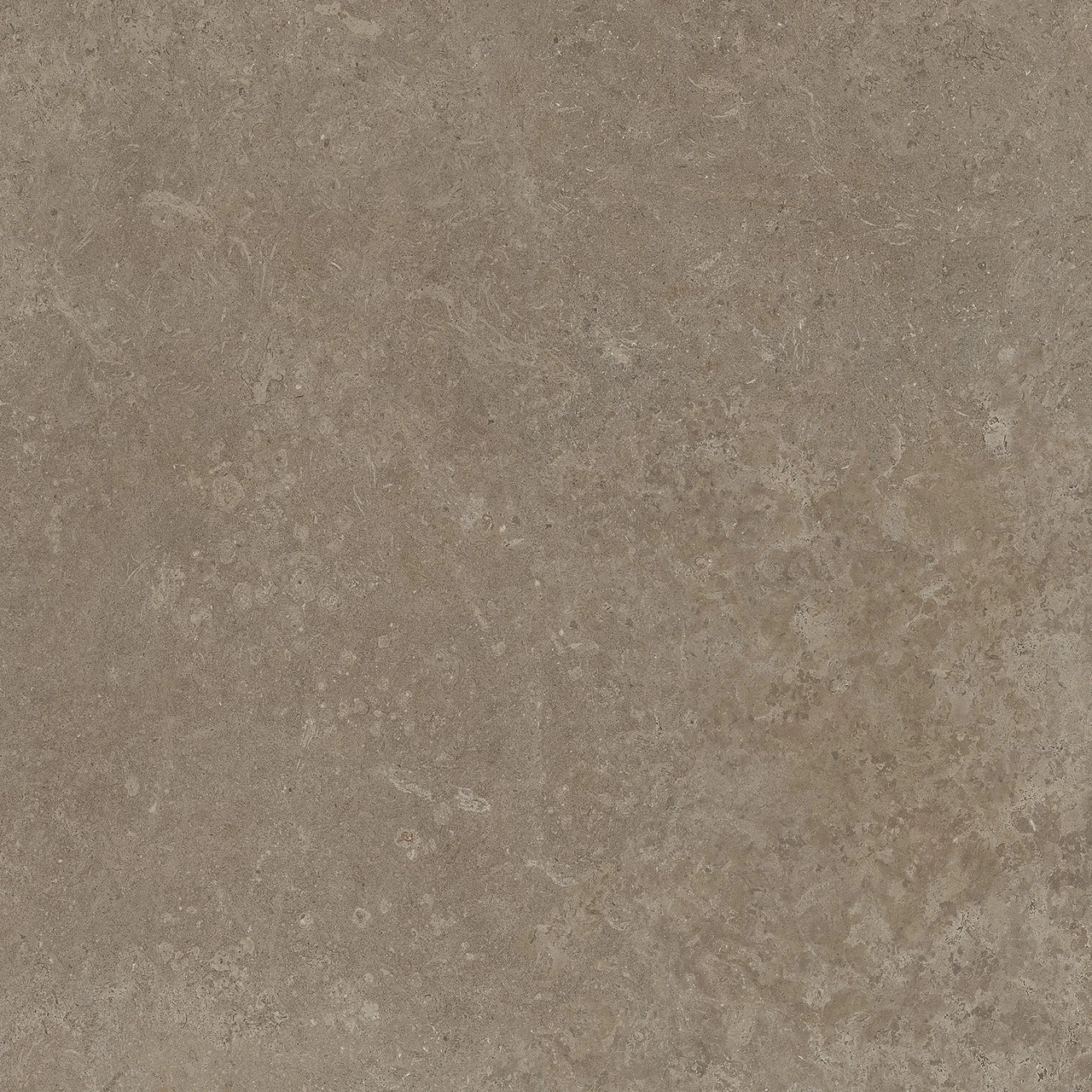 Tortora Porcelain Tile in Matte Finish