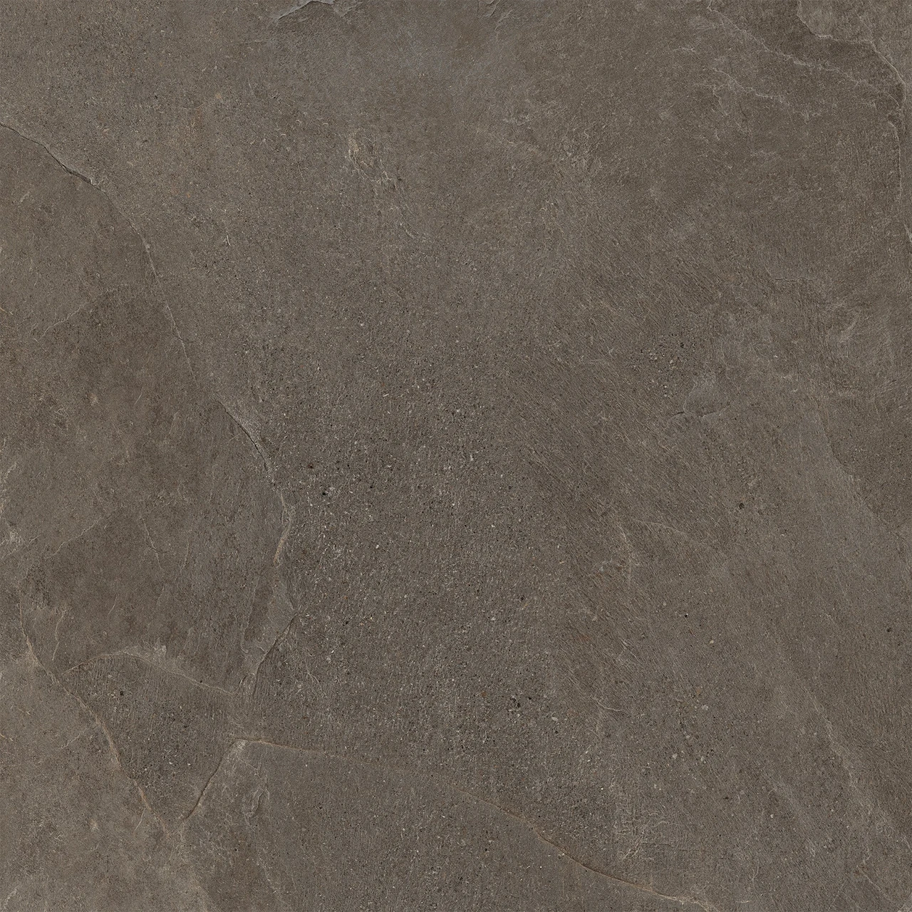 Brown Porcelain Tile in Matte Finish