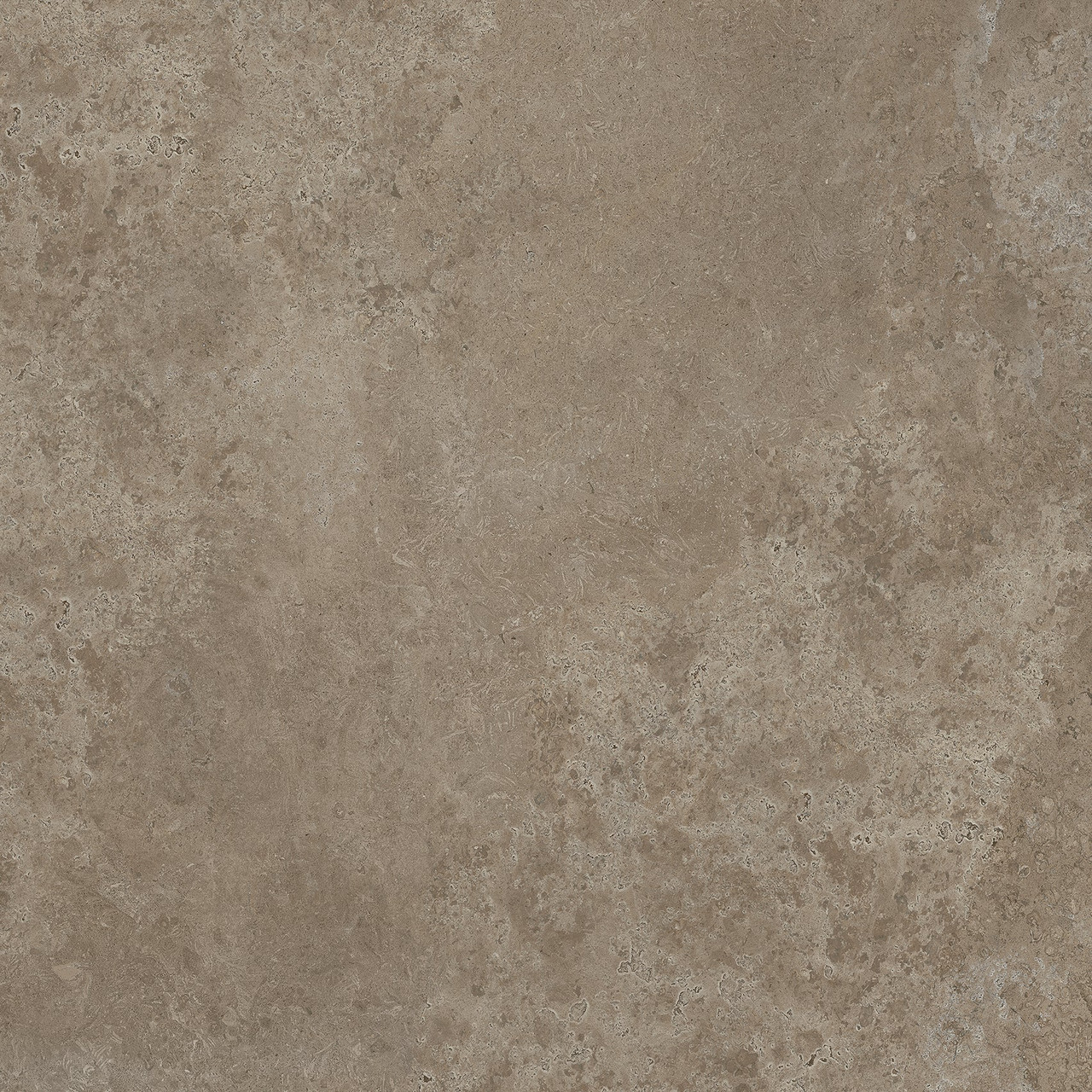 Tortora Tile Sample