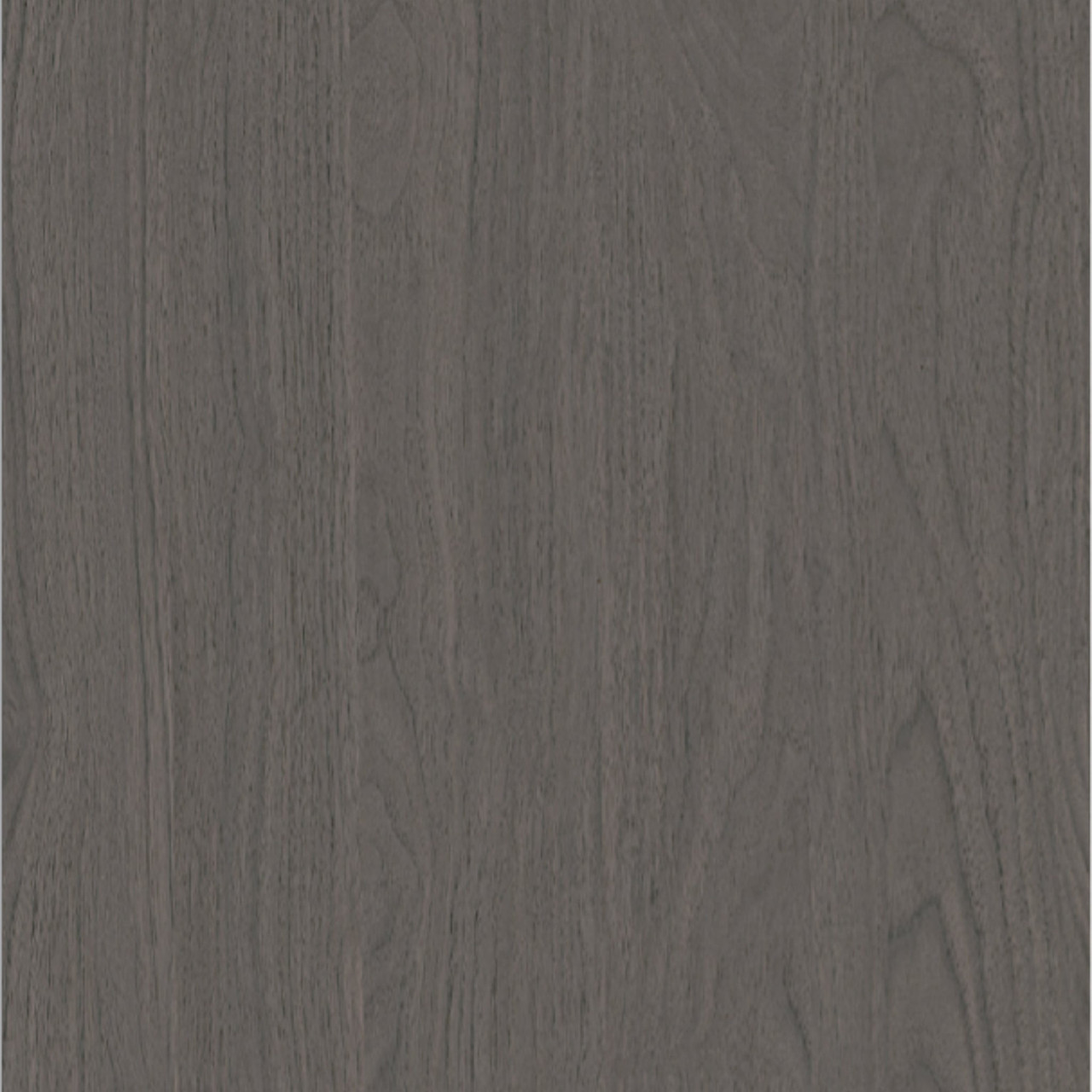 Black Walnut Wood Sample