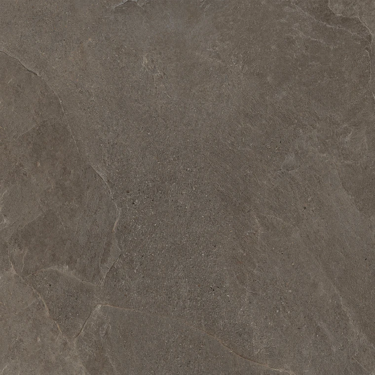 Brown Porcelain Tile in Matte Finish