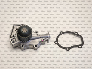 DD51B/DD51T Carry water pump - Aftermarket part