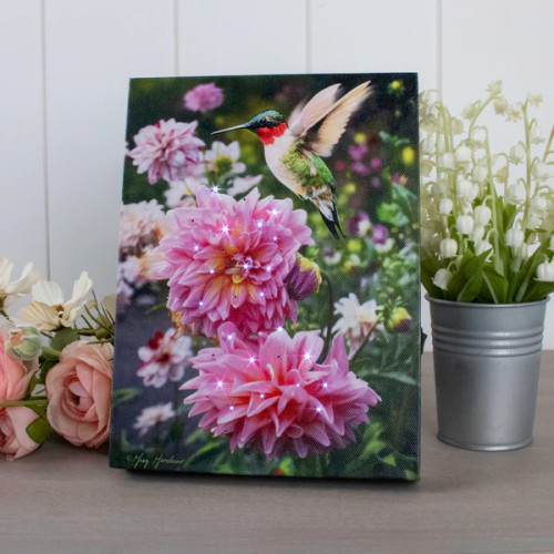 Hummingbird & Dahlia Light Up Picture (glow Decor)