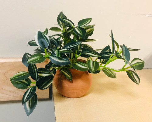 Multi Colored Stripped Trailing Artificial Vine in a Terra Cotta Pot