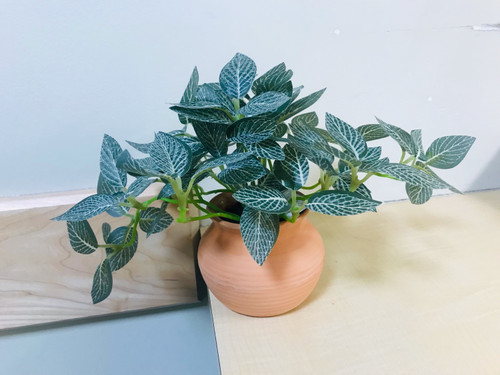 Artificial Green Leaf with White Veins Plant in a Terra Cotta Pot