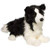 Flopsie Border Collie  (Aurora)