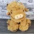 Fiesta Plush Highland Cow Male (Kelli's)
