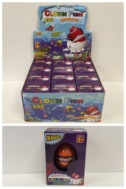 NV-1573 Growing Clown Fish Egg (12pc)