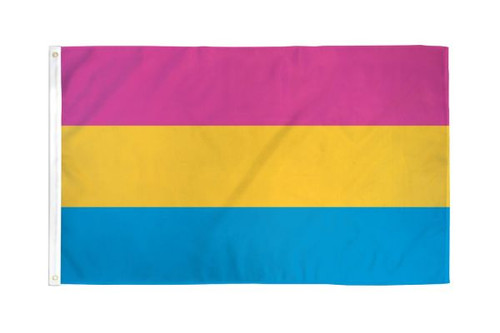 NV-632PNS - 3'x5' Pansexual Flag