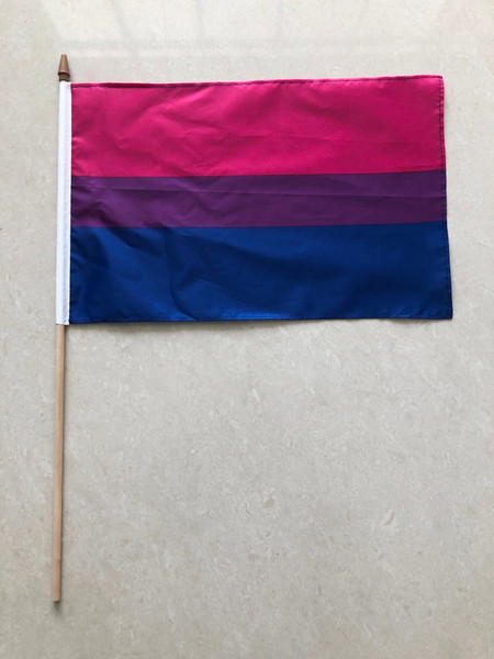 NV-1343BSX - 12"x18" Bisexual Flag