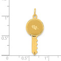 14K Yellow Gold Hearts On Key Charm Pendant - (A98-553)