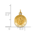 14K Yellow Gold Our Lady of Mt. Carmel Medal Charm 12mm width - (B11-659)