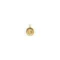 14K Yellow Gold 12mm Infant Jesus Medal - (B15-743)