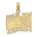 14K Yellow Gold Polished and Textured God Bless America With Flag Charm Pendant - (A92-417)