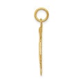 14K Yellow Gold Large M.D. Caduceus Charm - (A82-502)