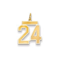 14k Yellow Gold Medium Satin Number 24 Charm Pendant - (A87-788)