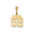 14k Yellow Gold Small Polished Number 58 Charm - (B22-786)