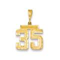 14k Yellow Gold Medium Diamond-cut Number 35 Charm - (A86-617)