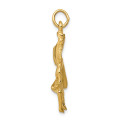 14K Yellow Gold Matador Charm - (A86-788)