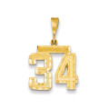 14k Yellow Gold Medium Diamond-cut Number 34 Charm - (A87-698)