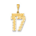 14k Yellow Gold Large Diamond-cut Number 17 Charm Pendant - (A87-421)
