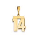 14k Yellow Gold Medium Polished Number 14 Charm - (A87-956)