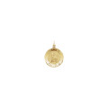 14K Yellow Gold 15mm Round St. Peter Medal - (B15-821)