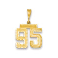 14k Yellow Gold Medium Diamond-cut Number 95 Charm - (A87-981)
