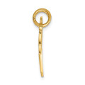 14K Yellow Gold Heart with A Key Charm - (A82-806)