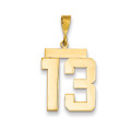 14k Yellow Gold Large Polished Number 13 Charm Pendant - (A87-550)