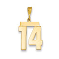 14k Yellow Gold Large Polished Number 14 Charm Pendant - (A87-702)