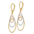 Leslie's 14K Tri-Color Gold Dangle Leverback Earrings - (B44-287)