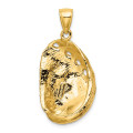 14K Yellow Gold 2-D Abalone Shell Charm Pendant - (A91-562)