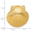 14K Yellow Gold Fits up to 10mm & 8mm Medium Scallop Shell Slide - (A84-499)