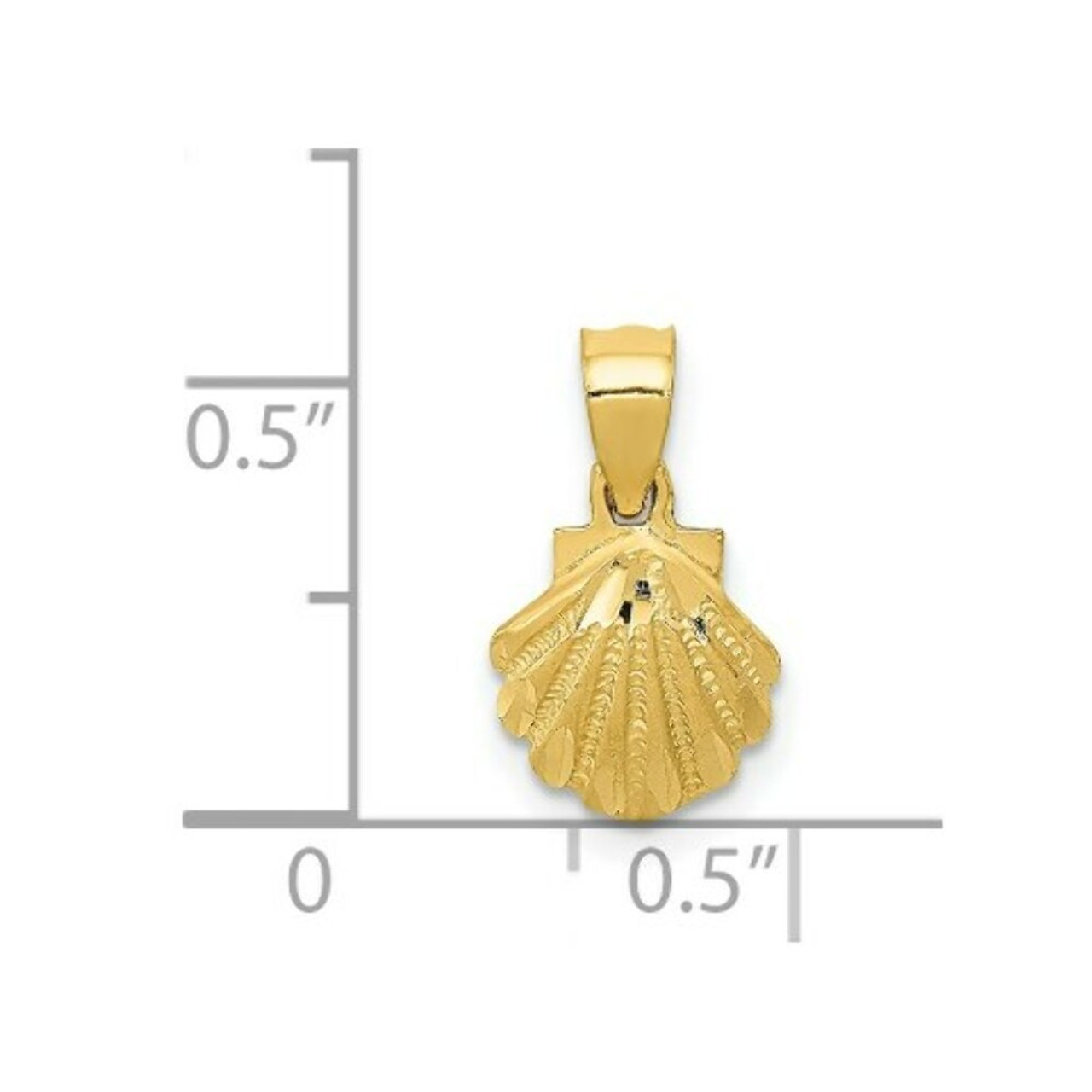 14K Yellow Gold Scallop Shell Pendant 8mm width - (A85-607)