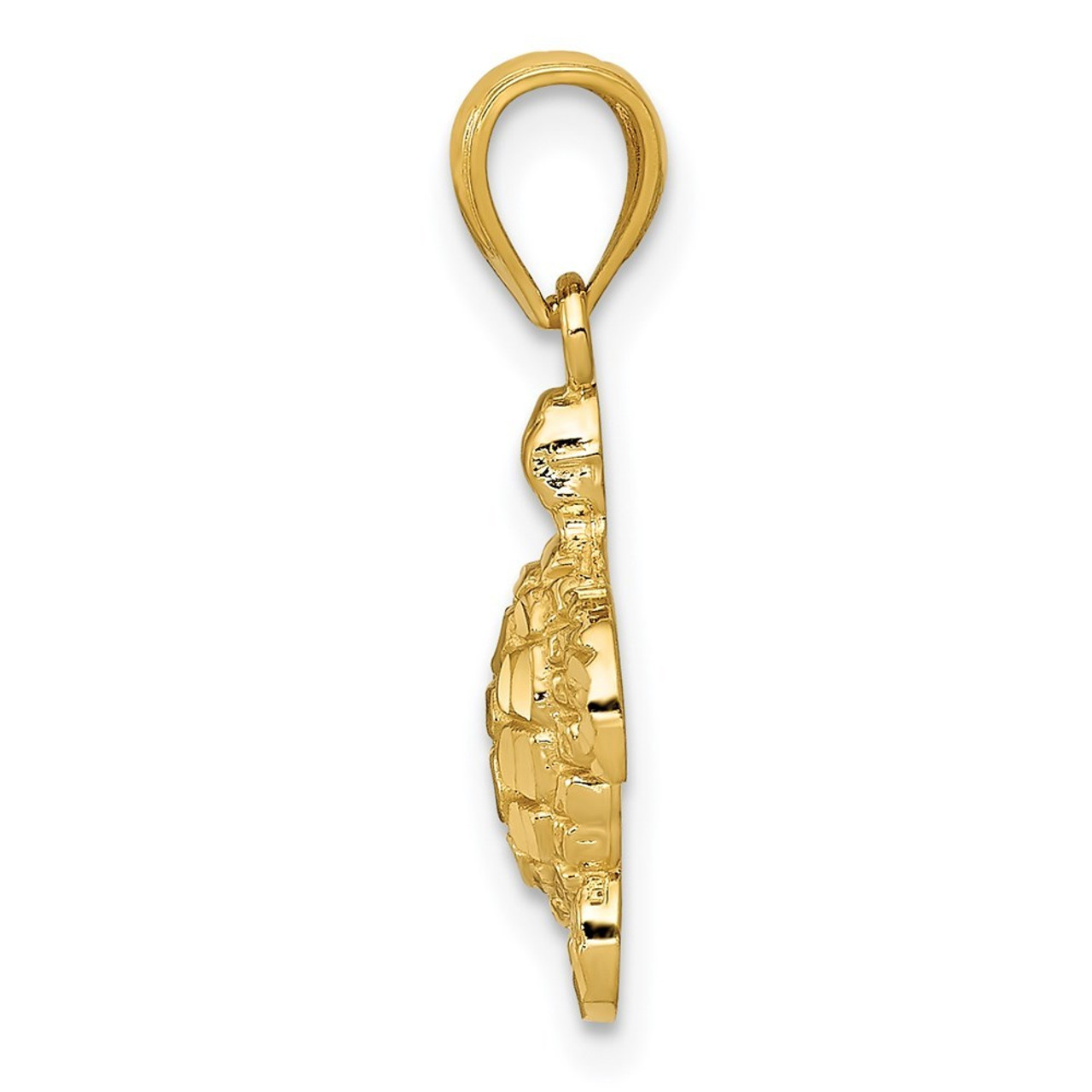 14K Yellow Gold Polished & Textured Small DC Turtle Pendant - (B13-503)