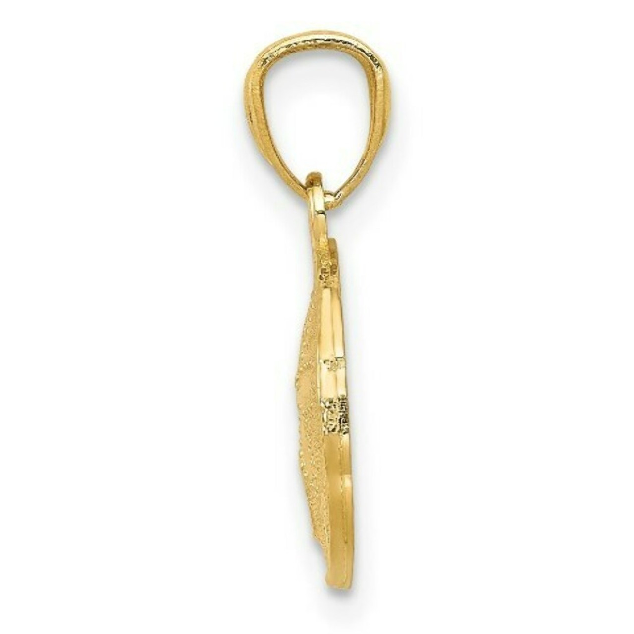 14K Yellow Gold Polished & Textured Sand Dollar Pendant - (B14-371)
