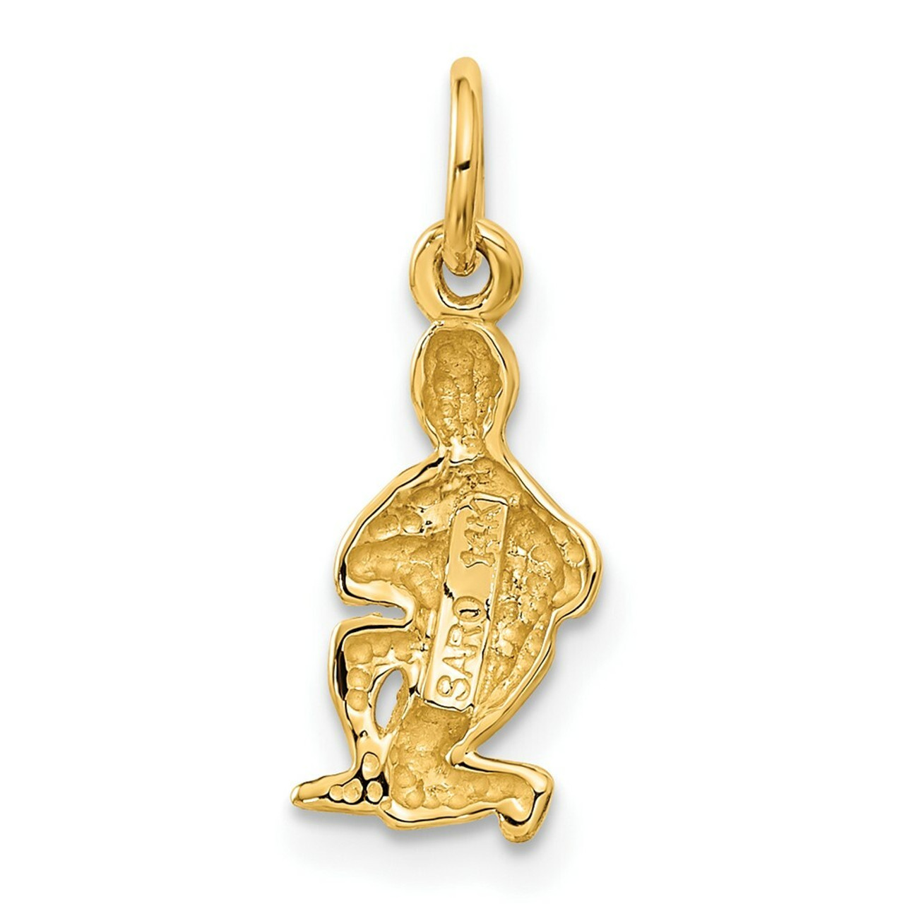 14K Yellow Gold Aquarius Zodiac Charm - (A83-869)