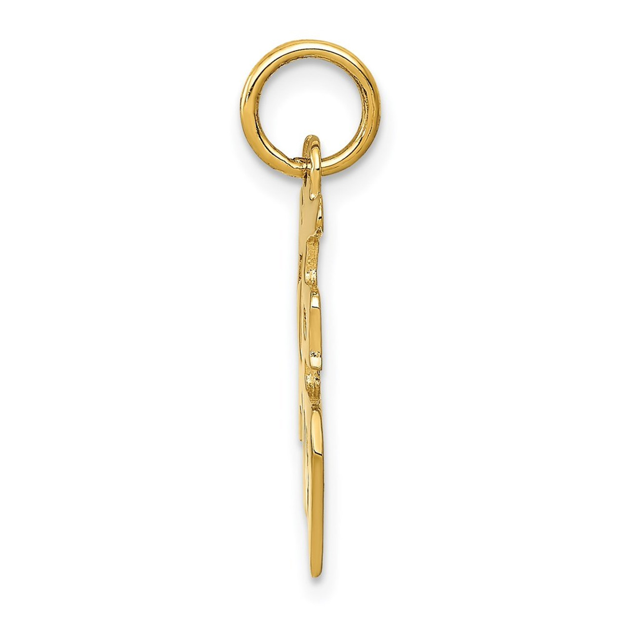 14K Yellow Gold Good Luck Charm - (A86-795)