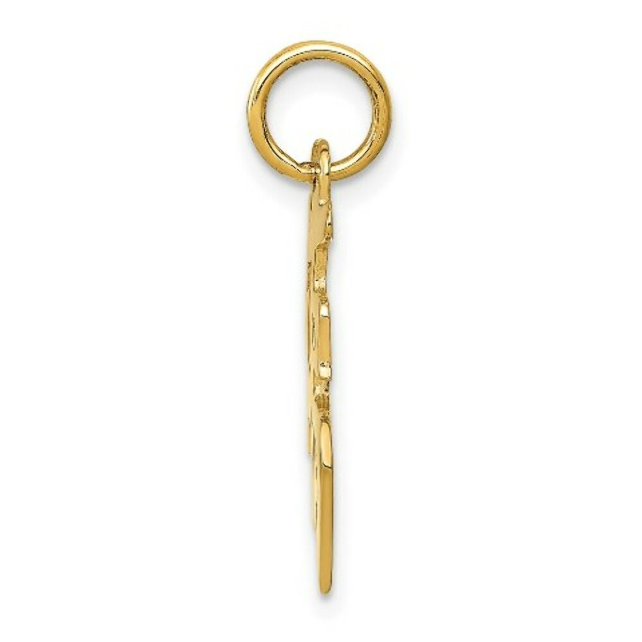 14K Yellow Gold Good Luck Charm - (A86-795)