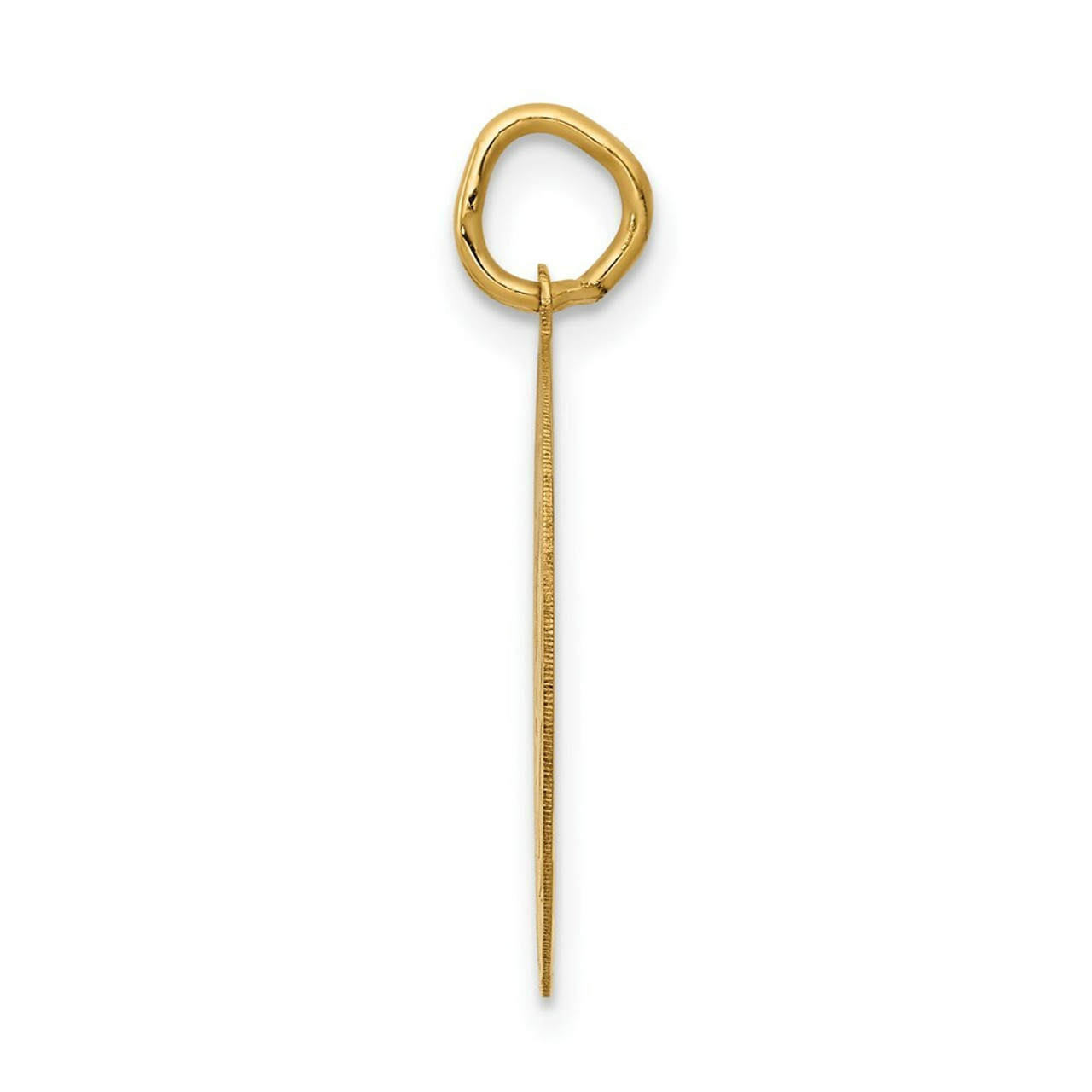 14K Yellow Gold Graduation Day Disc Charm - (A82-493)