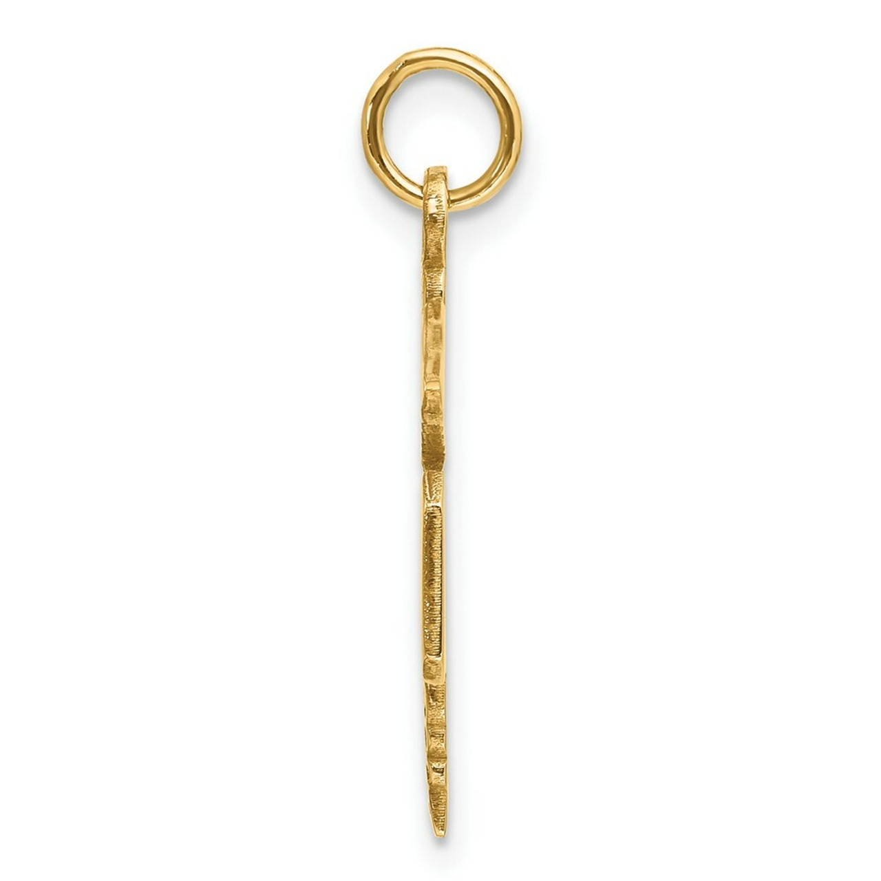 14K Yellow Gold Large M.D. Caduceus Charm - (A82-502)